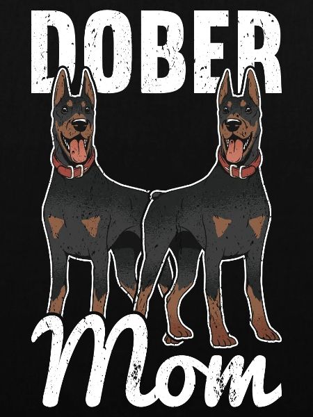 Dobermann Hund Dobermann