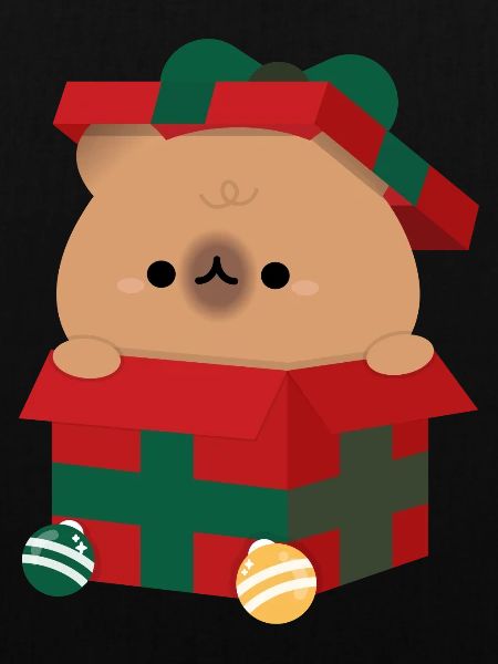 Capybara Weihnachtsgeschenk