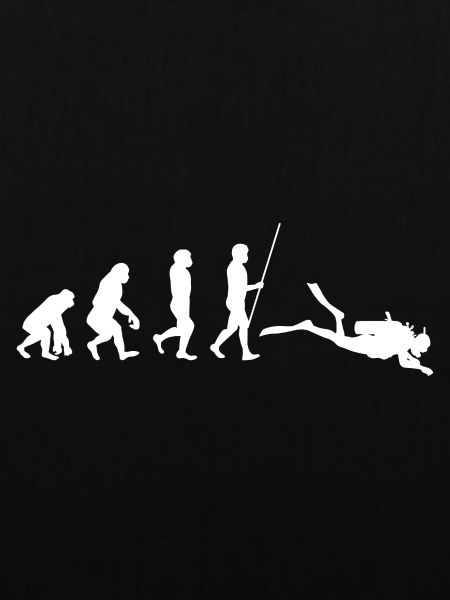 Diver Evolution