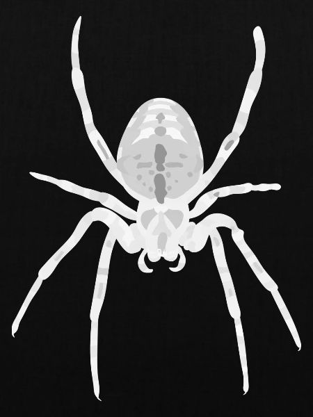 Spinne Halloween