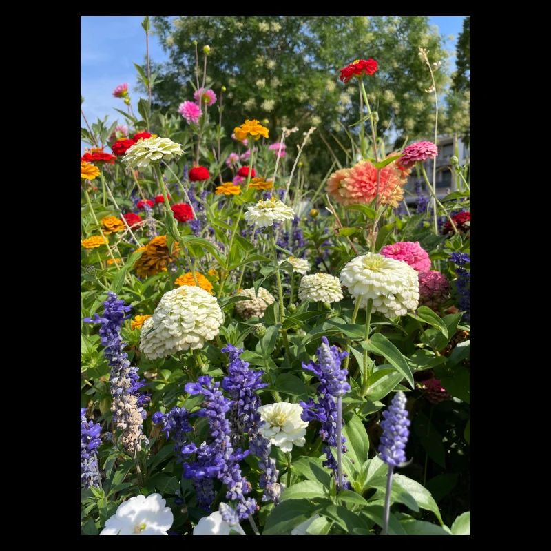 Blumen