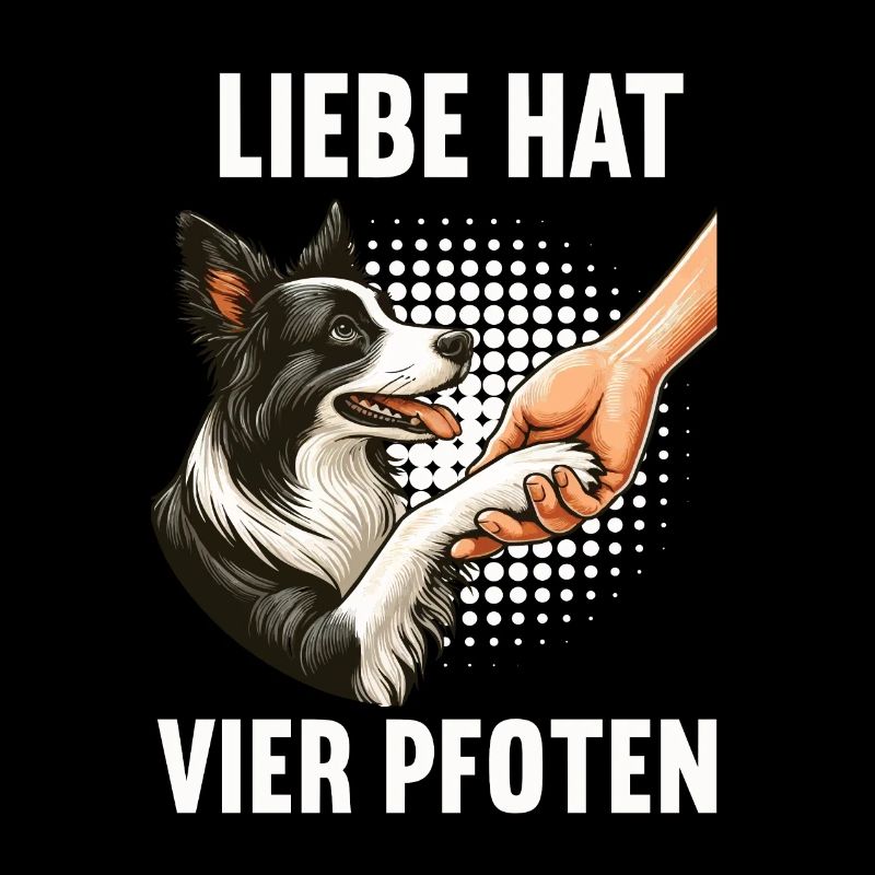 Liebe hat Vier Pfoten Border Collie Collies