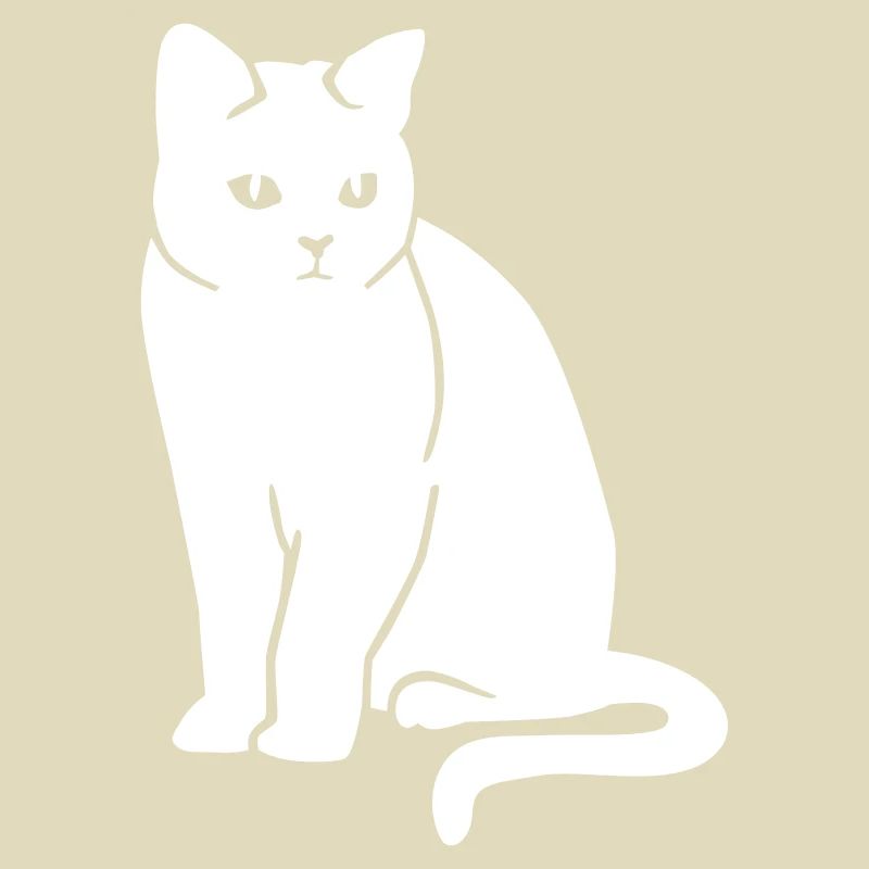Britisch Kurzhaar Katze