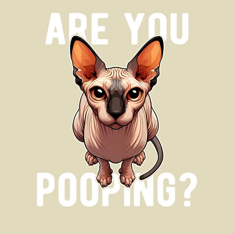 Est-ce que tu fais caca ? Drôle de chat Sphynx