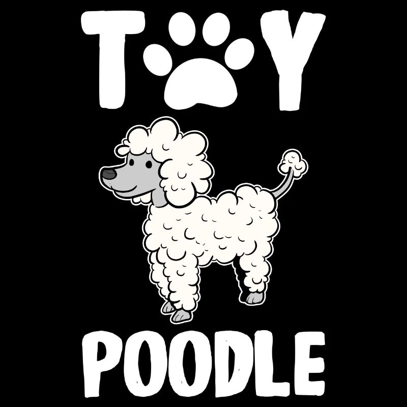Caniche Chien Nain Caniche Jouet Caniche Petit Caniche Chiot Chiot