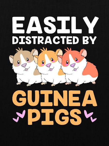 Guinea pig