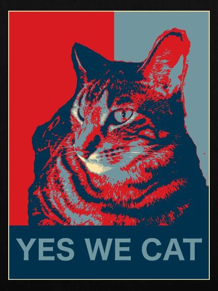 Yes we Cat