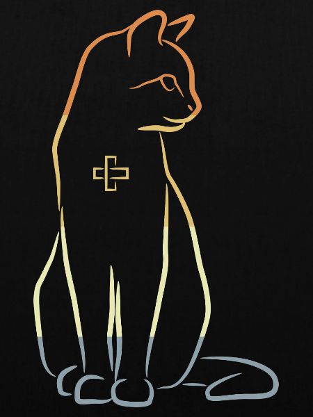 Veterinary Cat