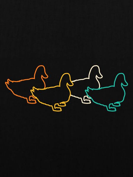 Ducks
