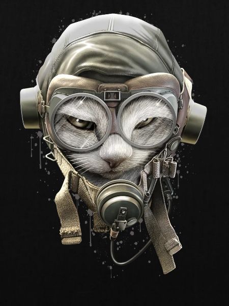 PILOTCAT (Splashes)