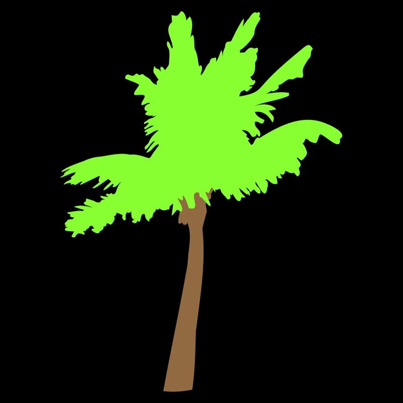 Palm Tree Island Tree Plage Vacances Noix de Mer Cool