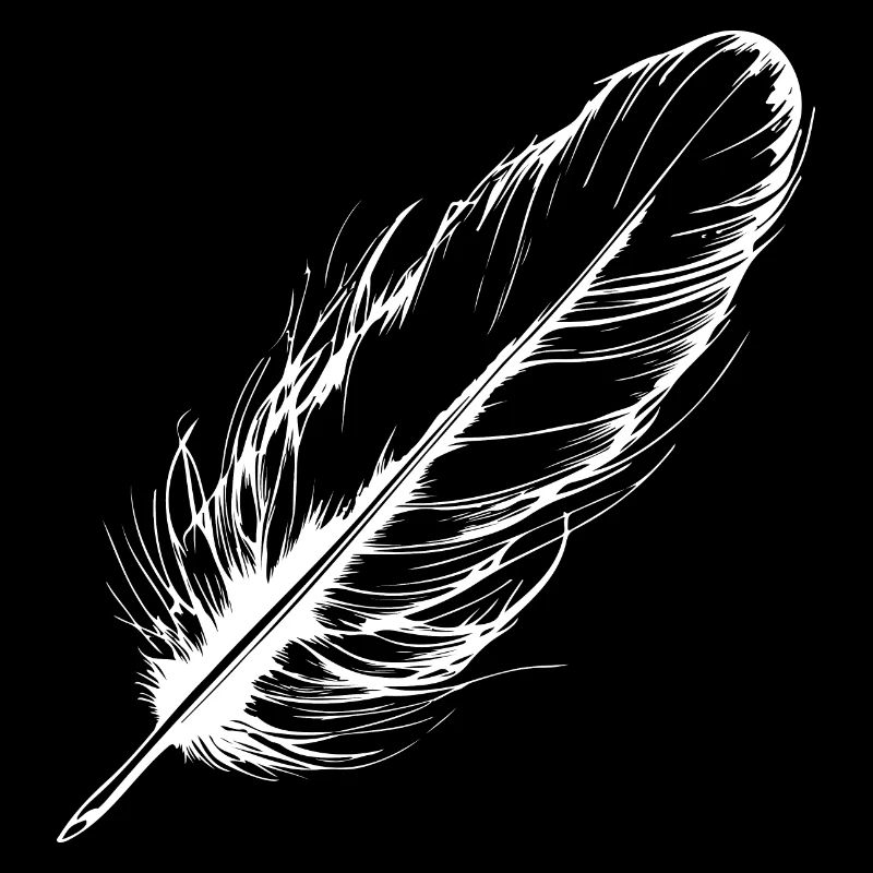 Bird Feather Hand Drawn