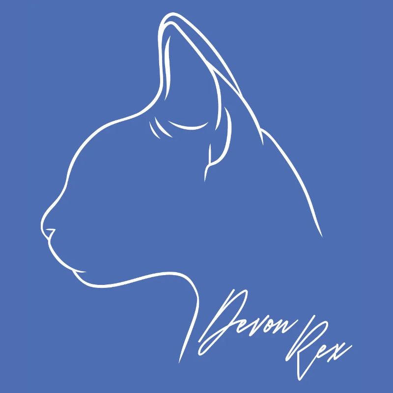 Devon Rex Profile Cat Cat Wilsigns