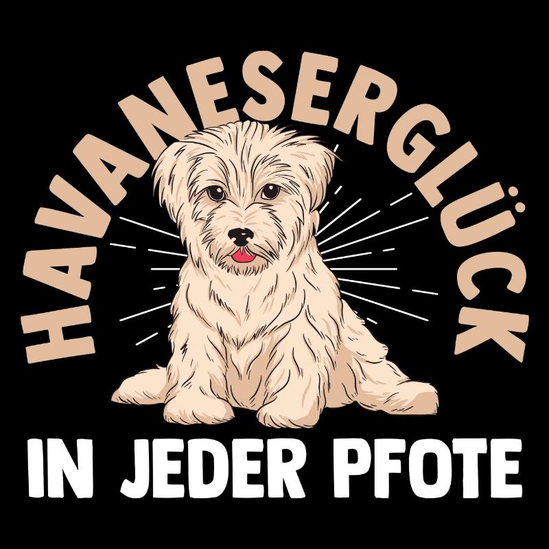 Dog Havanese