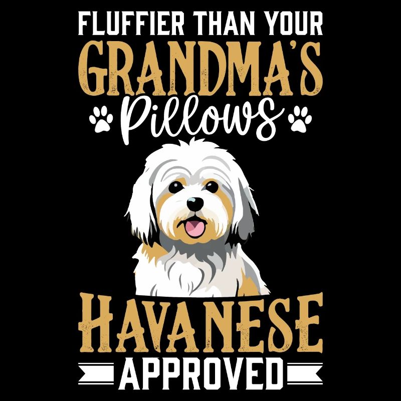 Fluffier than your Grandma's Pillows Havanese
