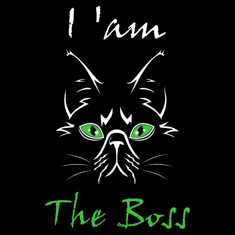 Katze Cat
