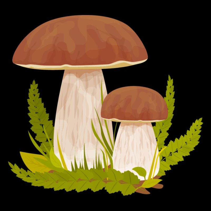 Pilze