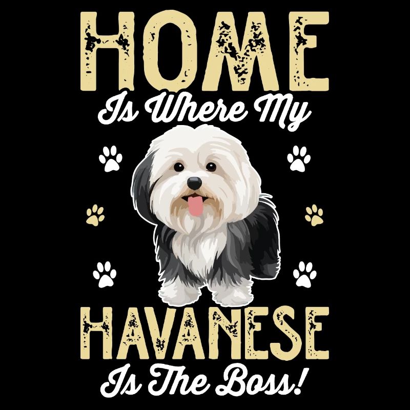 La maison, c’est là où mon bichon havanais est le chef