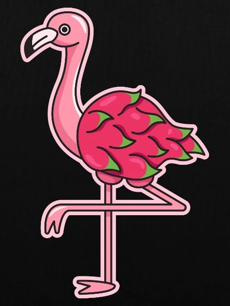 Flamingo Drachenfrucht Design für