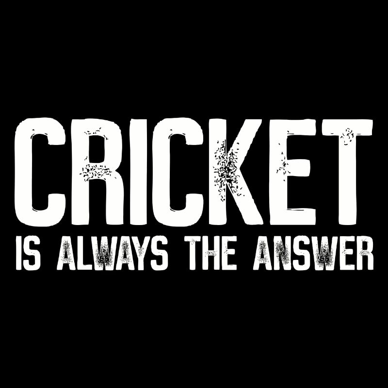 Cricket Is Always The Answer