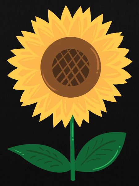 Sonnenblume