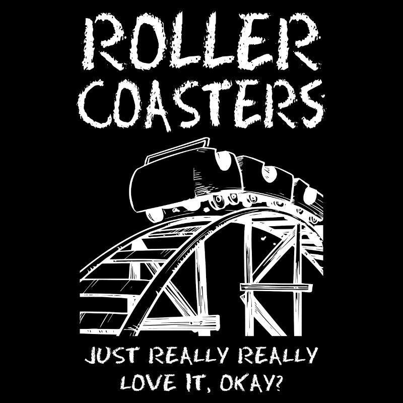 Roller Coaster Just Really Love It