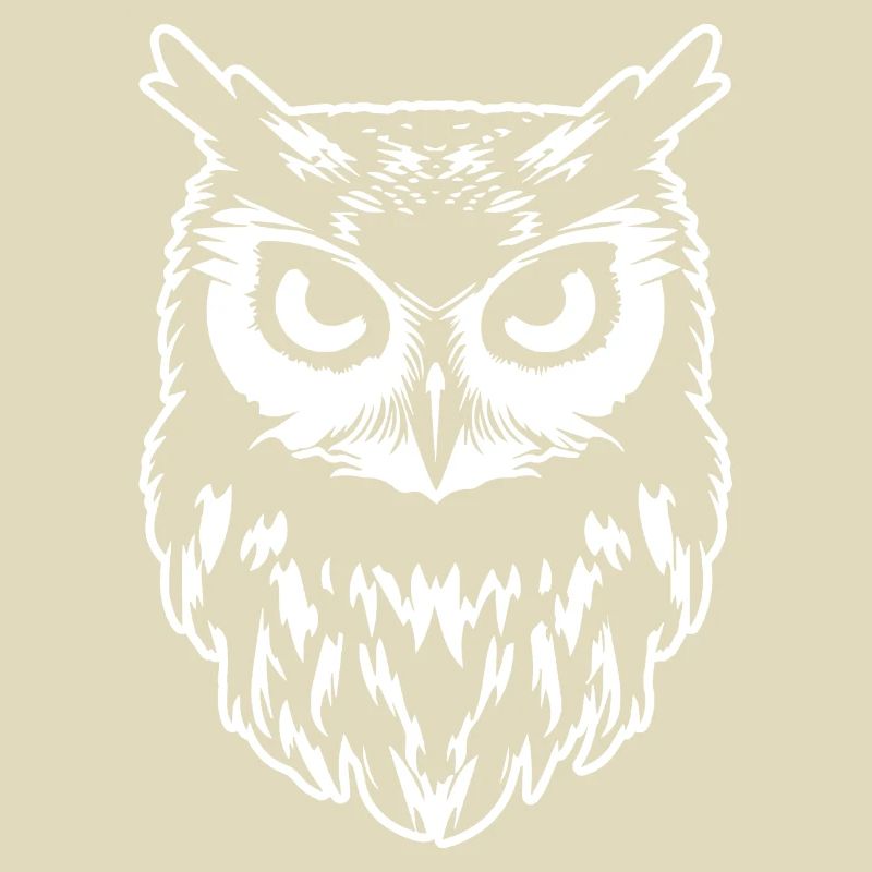 Eule Eulen Vogel Vögel