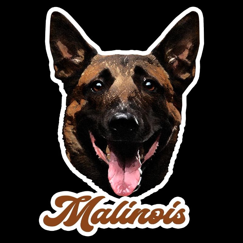 Belgian shepherd Malinois