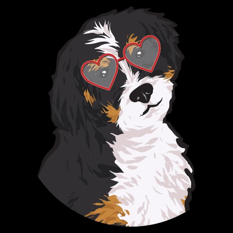 Bernedoodle Hund