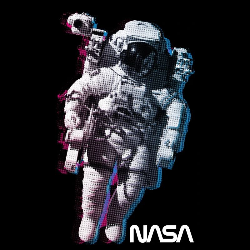 NASA Astronaut Mit Offiziellen Logo