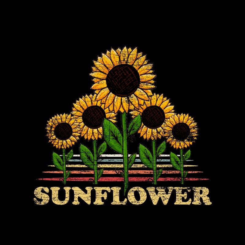 Sonnenblume