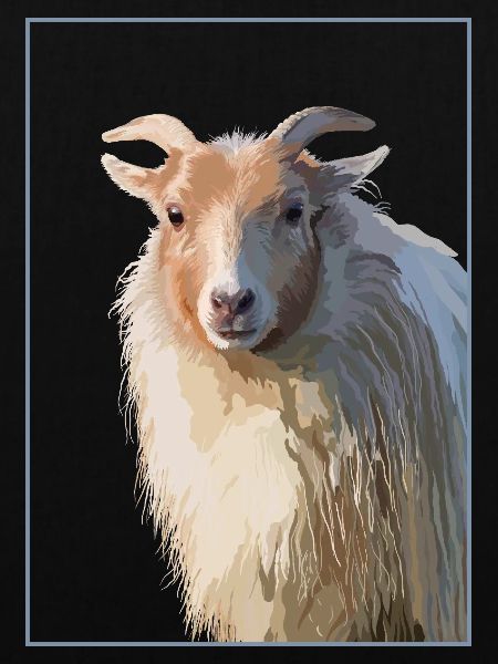 Schaf - Portrait II