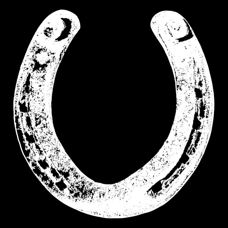 fer à cheval