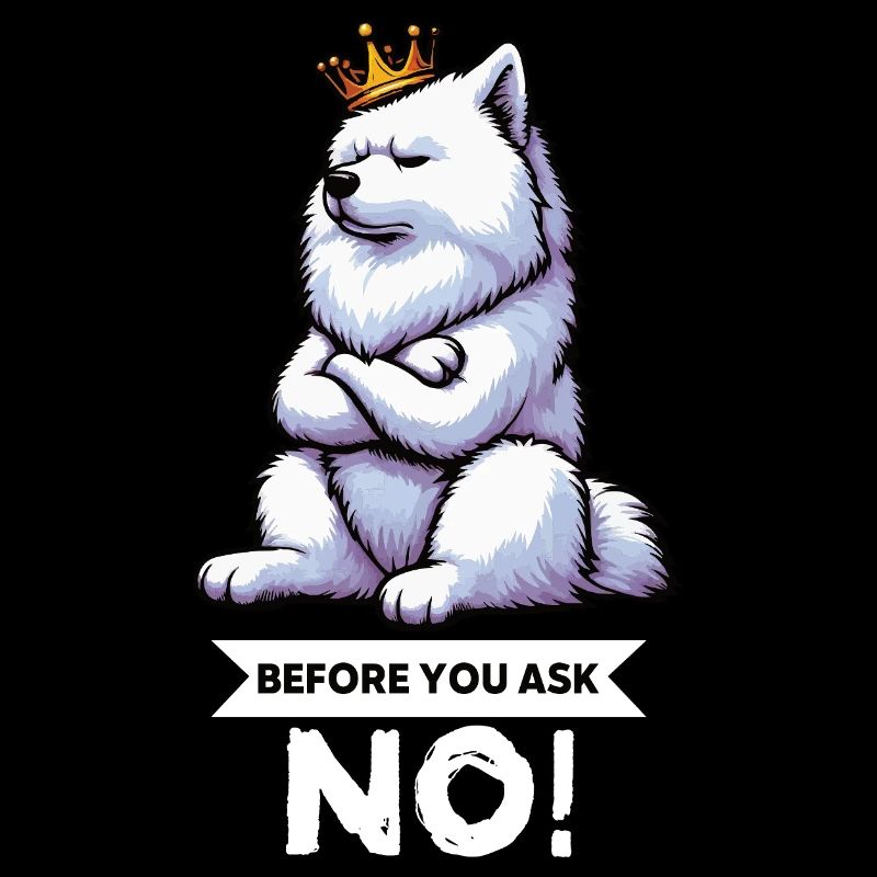 Before You Ask Samoyed Samoyed Owner