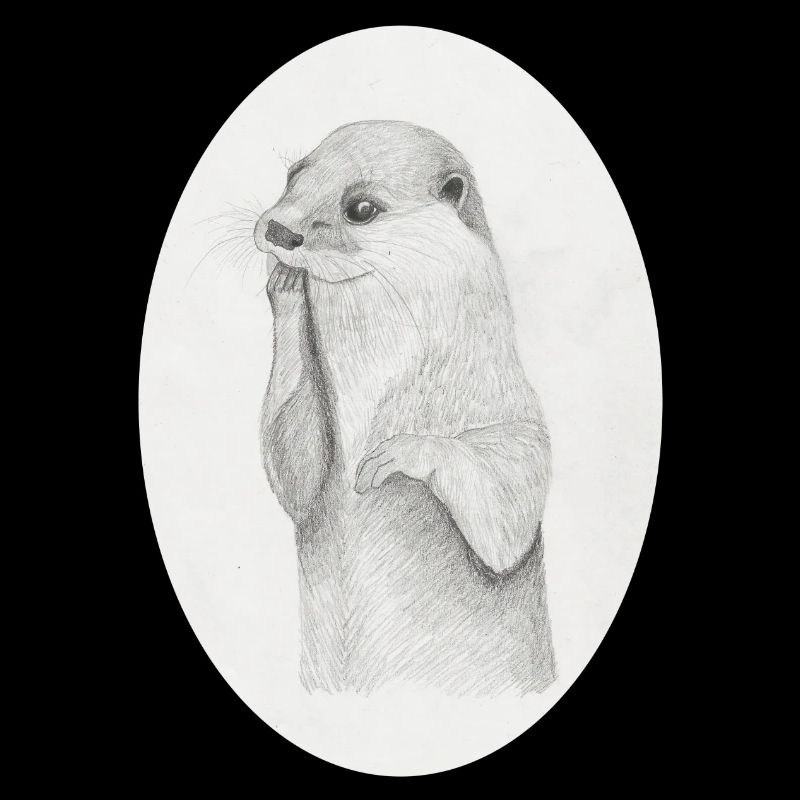 Otter Oval
