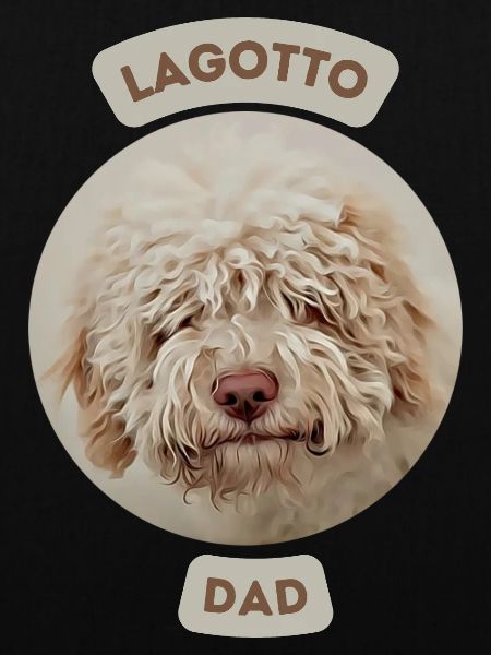 Lagotto Papa