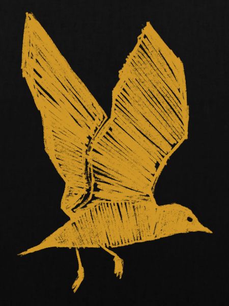 Golden Seagull