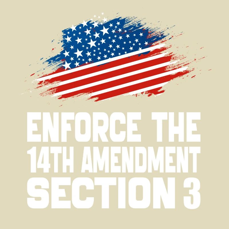Enforce The 14TH Amendment Section 3