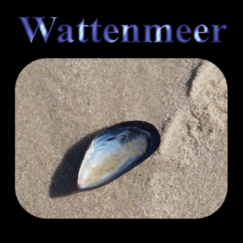 Wattenmeer
