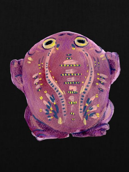 Purple Kröte