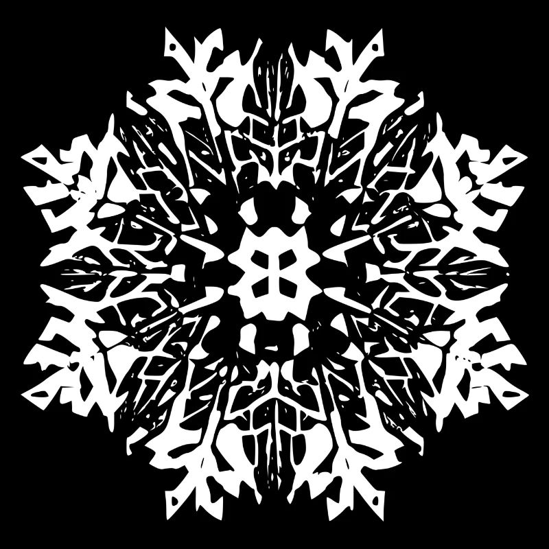 Snowflake Snow Winter Christmas Cold 13