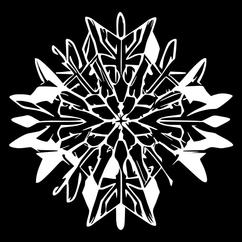 Snowflake Snow Winter Christmas Vector 14