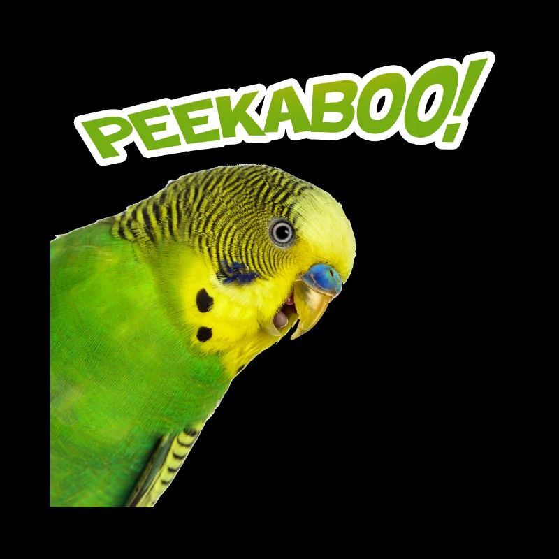 peekaboo 01