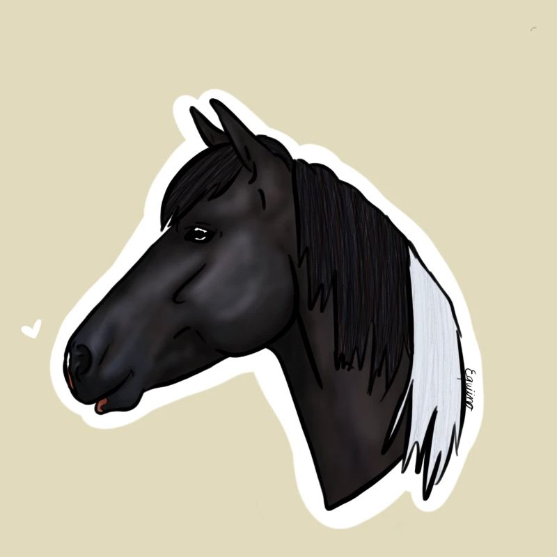 Grisel x Equiino