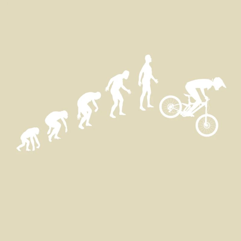Evolution de la descente