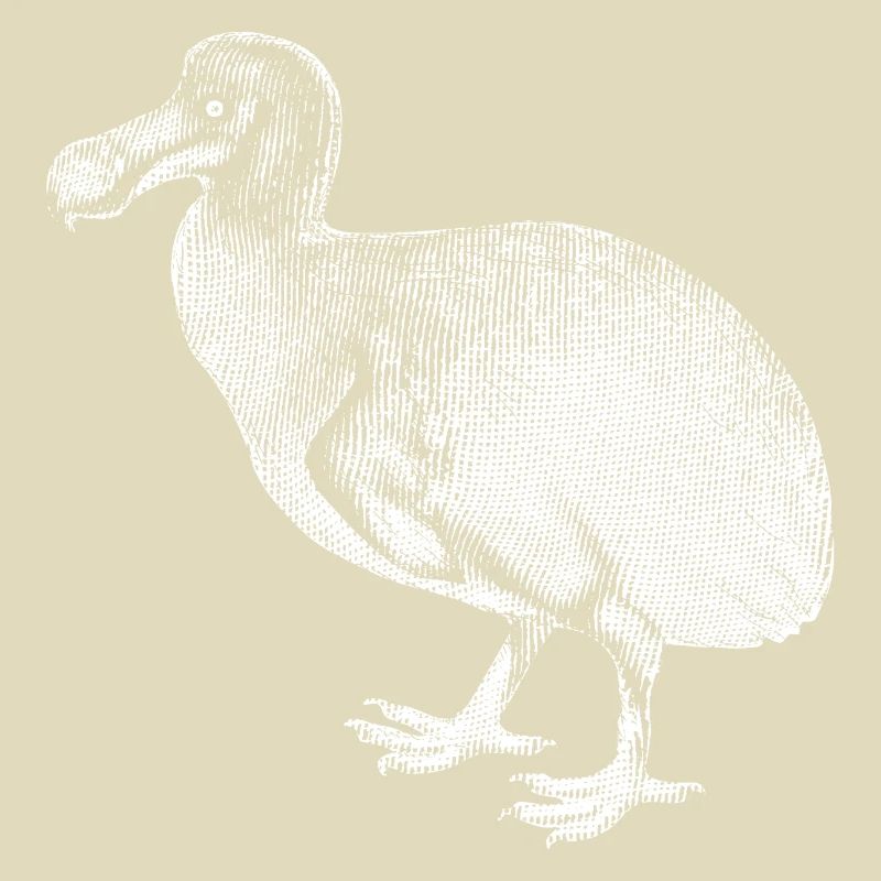 Dodo - white