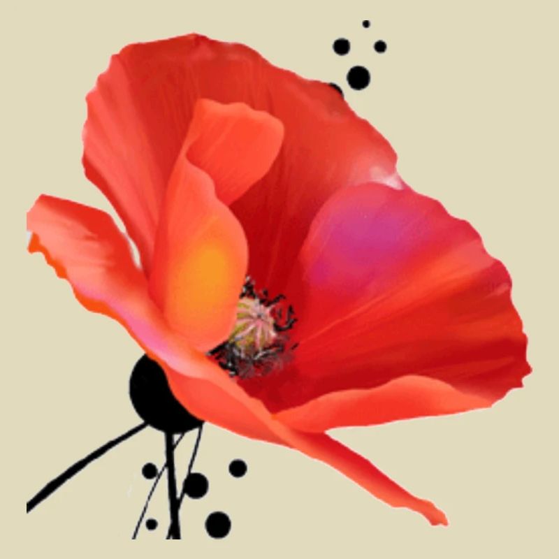 Mohn