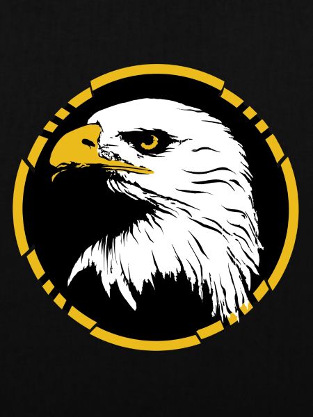 hawk