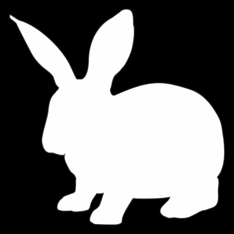 rabbit133