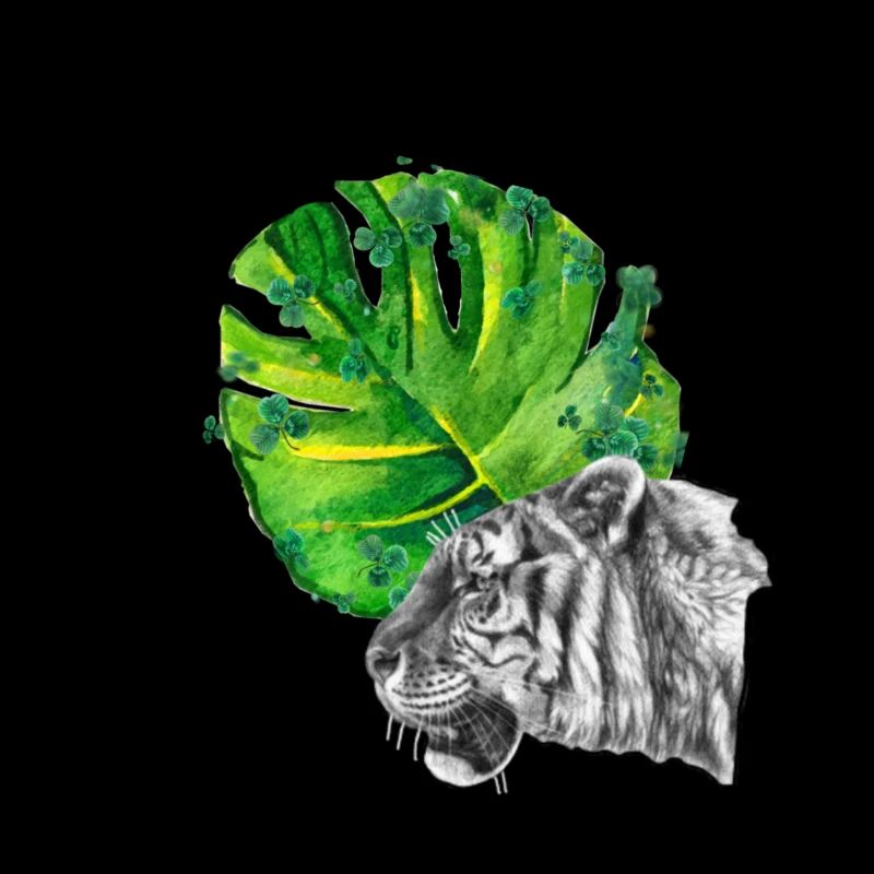 tiger